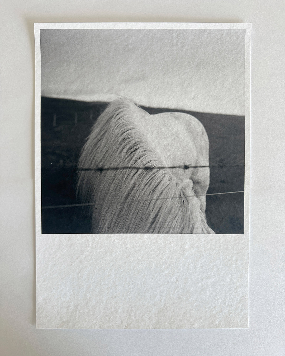Untitled 3