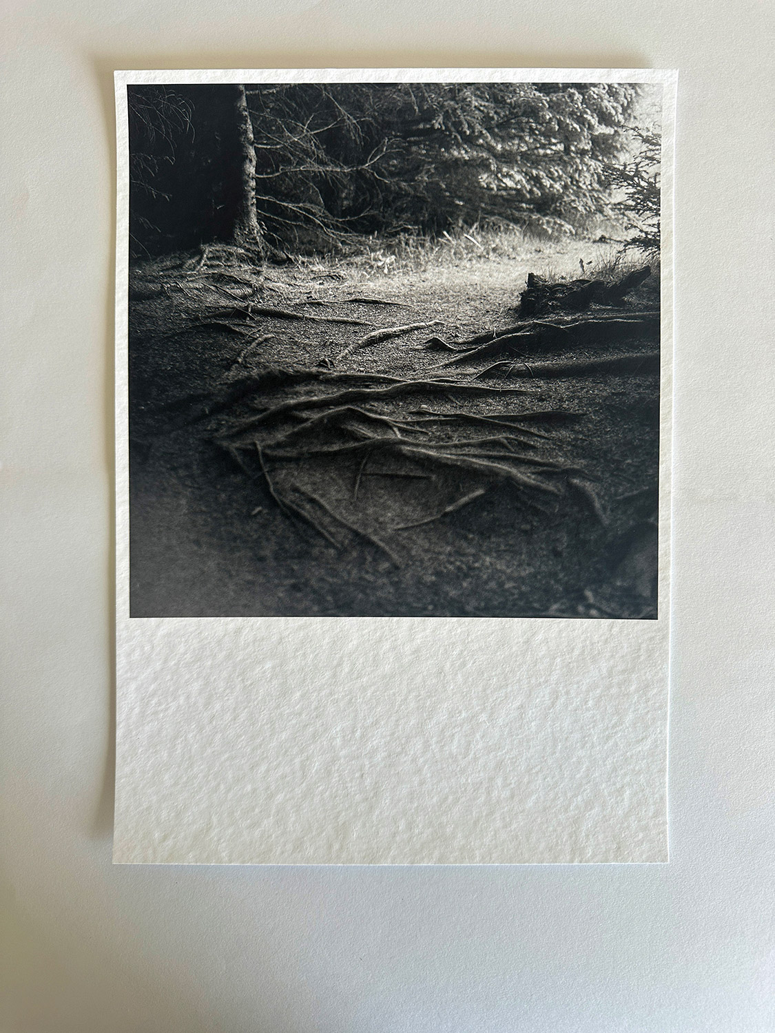 Untitled 5